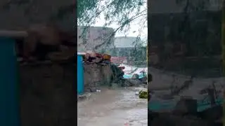 Apna gao ha bhai