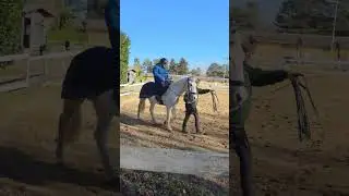 lezione@№#cavallo@##