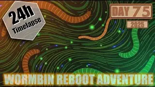 working-compostworms-wormbin-fishtank-view 2025-11-23