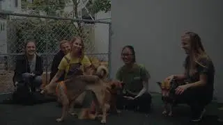 New Paws for Compassion Dog Shelter