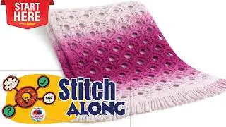 Week 1: Crochet Open Flower Phasing Blanket Stitch Along