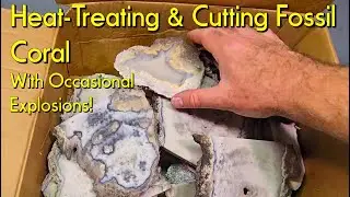 Heat Treating & Cutting Fossil Coral #fossils #coral #flintknapping #heattreating #kilnfiring