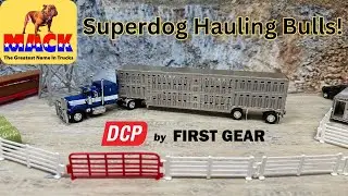 Diecast Promotions 64th Scale Mack Superliner with Spread Axle Wilson Silver Star Livestock Trailer