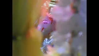 Gharat Ganpati Aale