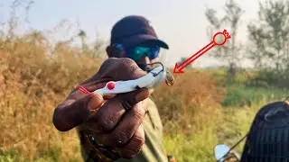   Fishing tips and techniques video | snakehead fish feeding | fish | Fishing 