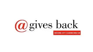 @gives back Introduces | Second City Canine Rescue