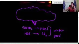 Antarctic Ozone Hole