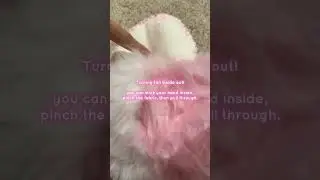 Curly Tail Tutorial :3 | #furry #fursuit #tutorial #fyp