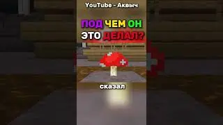 ОН ПОД ЧЕМ БЫЛ?  #майнкрафт #anarchy #minecraft #аквыч  #моды #игры  #funtime  #survival