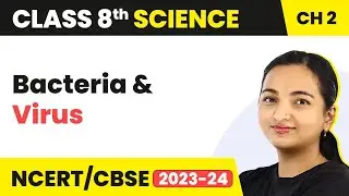 Chapter 2 Class 8 Science | Groups of Microbes: Bacteria & Virus - Microorganisms: Friend and Foe