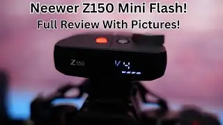 Top Photographer Reveals Best Mini Flash Techniques with NEEWER Z150