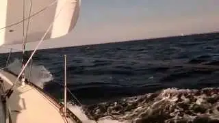 The Last Search for Goose's Gold