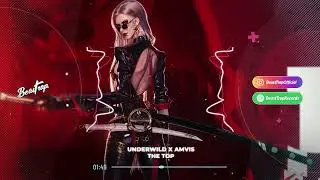 Underwild & Amvis - The Top