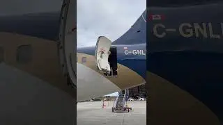 Flight Attendant SATISFYING B737-200 Door Closing Before Takeoff