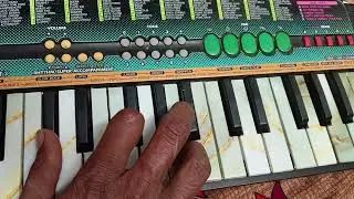 Badra jab chaye tu bahot yaad aaye sa 41 Casio 
