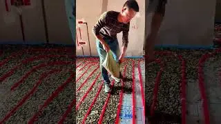 #backfilling  of underfloor heating #Record the decoration process #Installation of underfl   #96580