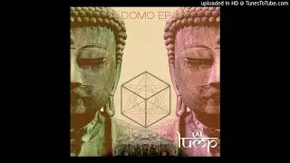 DOMO (ES) - Peace [Lump Records]