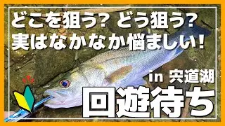 【宍道湖シーバス】実は難しい？回遊待ちでシーバスを狙う！【実釣編】