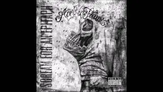 April in Flames -Raging Chaos-