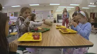 Maine senator pushes new bill to protect school meals amid federal food program cuts