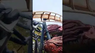 Theme parks are addictive and you just can't beat the rush of a rollercoaster!