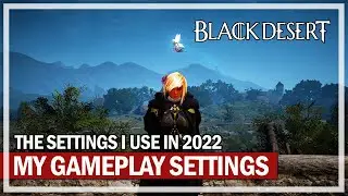The Gameplay Settings I Use in Black Desert 2022