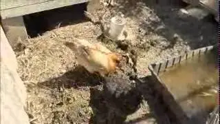 compost turners