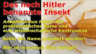 Wissenschaft, Geschichte und Ethik: Der nach Hitler benannte Käfer Anophthalmus hitleri
