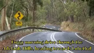 Cruising with Sam, foggy morning in the Adelaide Hills, heading towards Lobethal, South Australia