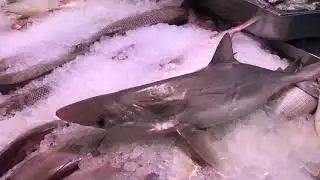 HOW TO COOK A SHARK