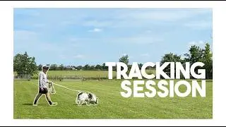 Dog Tracking - Working on article Indications