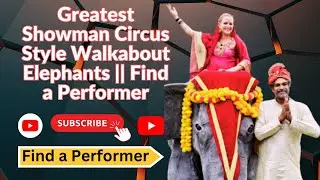 Greatest Showman Circus Style Walkabout Elephants || Find a Performer