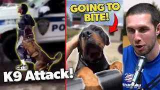 Dog Trainer Reacts to DOG BITES and Puppy Training DONE RIGHT!