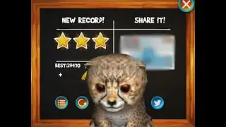 Playing (cat simulator 2015)