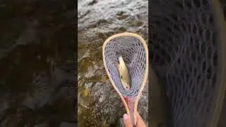 Saturday morning fishing