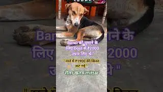 Bandi  ko #funny #comedy #shorts #shortsfeed #trending #viralvideo #dogtalk #dog #doglover #animals