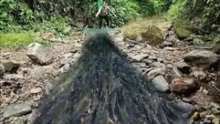 The girl traps fish with a net/ baits/ catches tons of fish in the river.