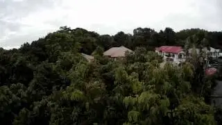 BLACKOUT MINI H - tree line - FPV