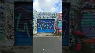 Laneway Garage Door Graffiti Art ~ Newtown | Sydney Australia .