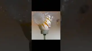 Bullet Impact in Super Slow Motion: Shattered Egg
