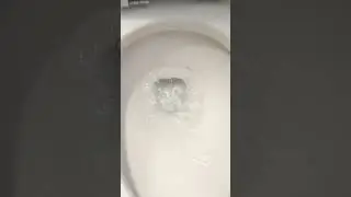 Flushing a Glacier Bay toilet on its 25th birthday - 12-30-25