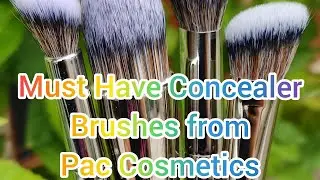 #shorts Must Have Concealer Brushes from Pac Cosmetics