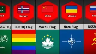 Most Loving Flag From Different Countries | Most Loving Flag From Each Country | Comparison Video