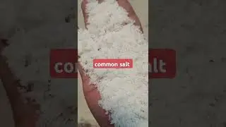 common salt মোটা লবণ  ১৪/১৫ টন কম বিক্রি হয় না 01785489575 #commonsalt #ব্যবসা