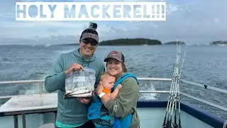 Holy Mackerel!!! Acadian Fishing Boat Tour | Bar Harbor, Maine