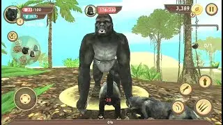 Wild Panther Sim 3D - Best Animal Android Gameplay