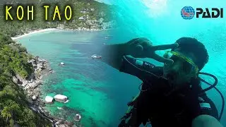 I Became a PADI Certified Scuba Diver in Thailand | Koh Tao Travel Vlog | Indian in Thailand E02