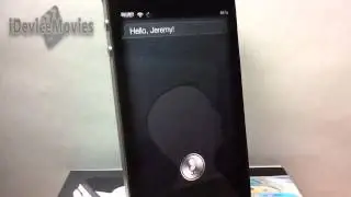 Stevi: Steve Jobs Siri Theme 