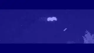 6 12172026 rods skyfish video from the backyard infrarednightvision
