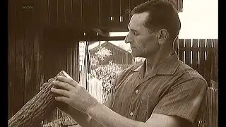 Fujara Detvianska, Nosáľ 1970